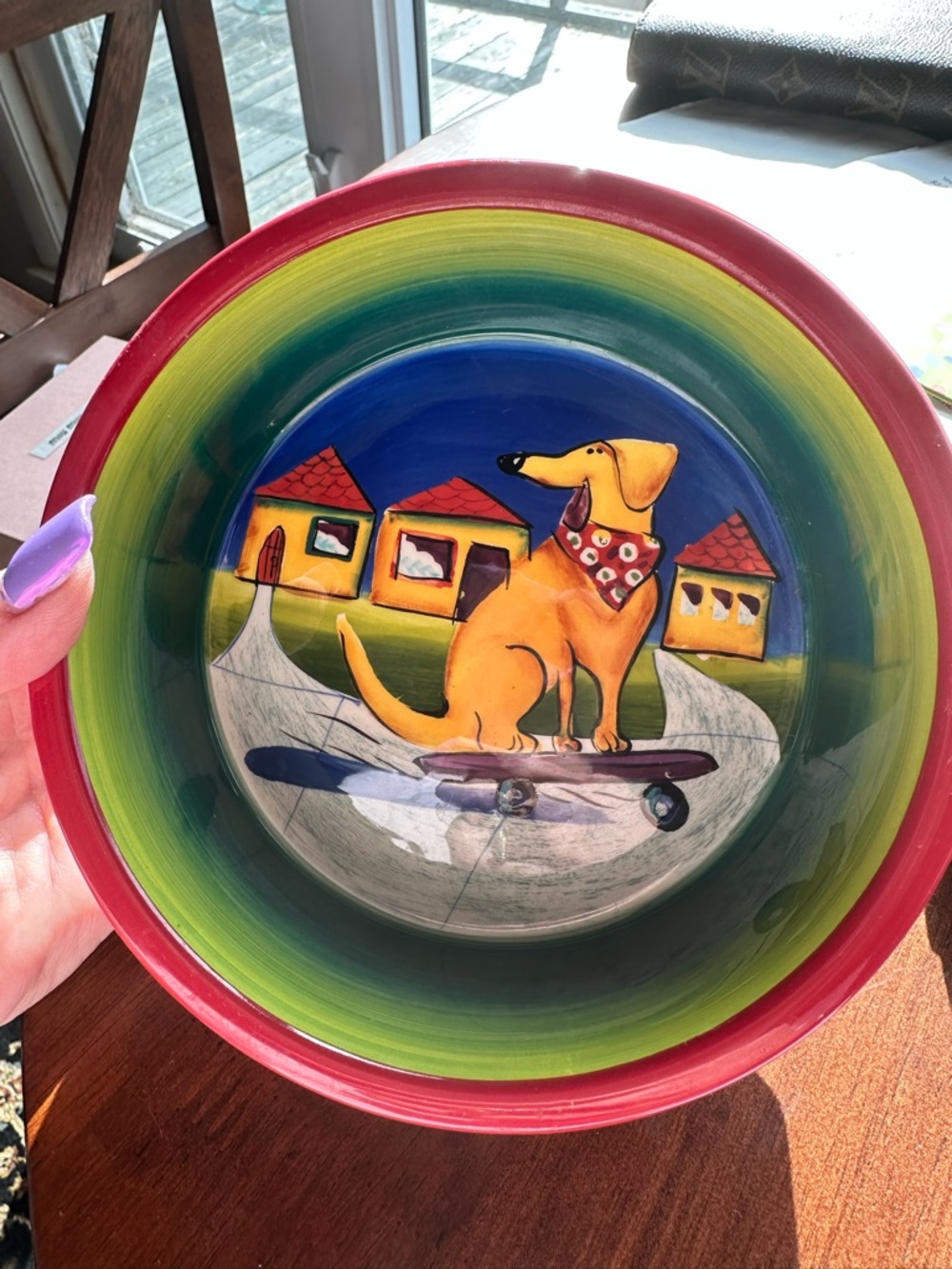 Hand-Painted Dog Skateboard Ceramic Bowl - Red, Green, Blue